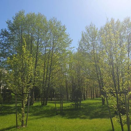Apartament 3 Pokojowy Lub Pokoj W Mieszkaniu W Nowym Bloku 바르샤바 외부 사진