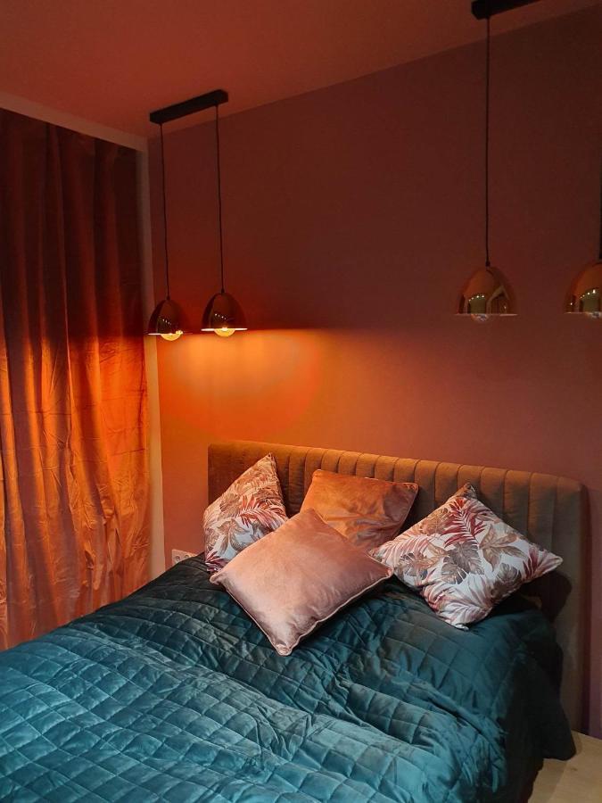 Apartament 3 Pokojowy Lub Pokoj W Mieszkaniu W Nowym Bloku 바르샤바 외부 사진
